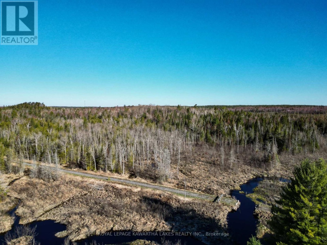 LT 4 DUTCH LINE ROAD W, Trent Lakes