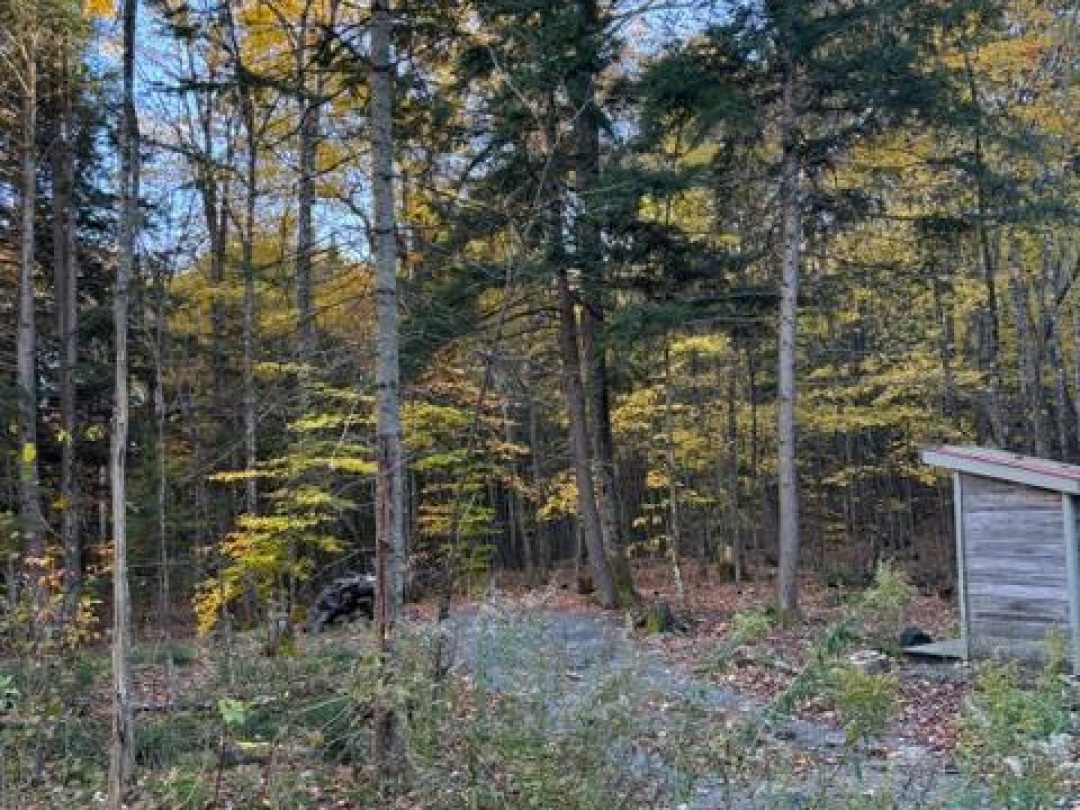 1231 BIG HAWK LAKE ROAD, Algonquin Highlands (Stanhope)