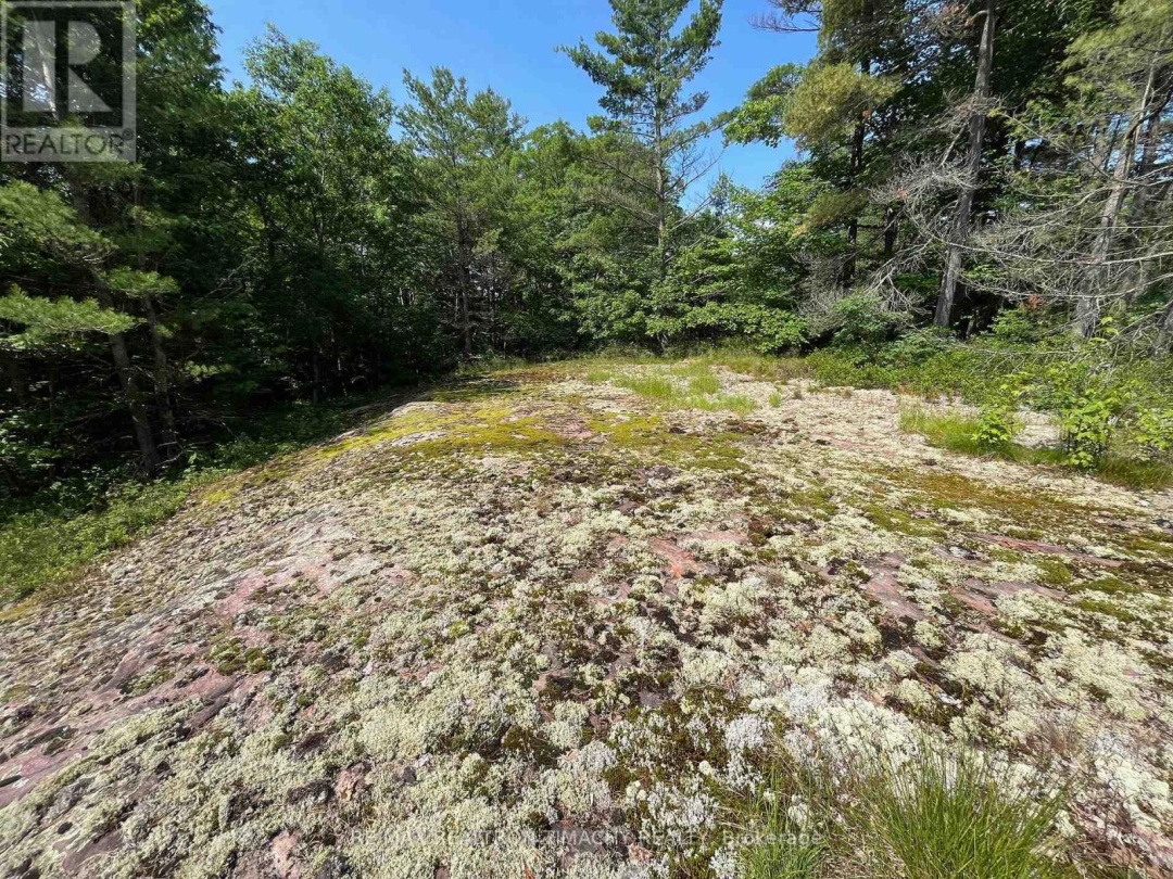 243 PRISQUE ROAD, Georgian Bay