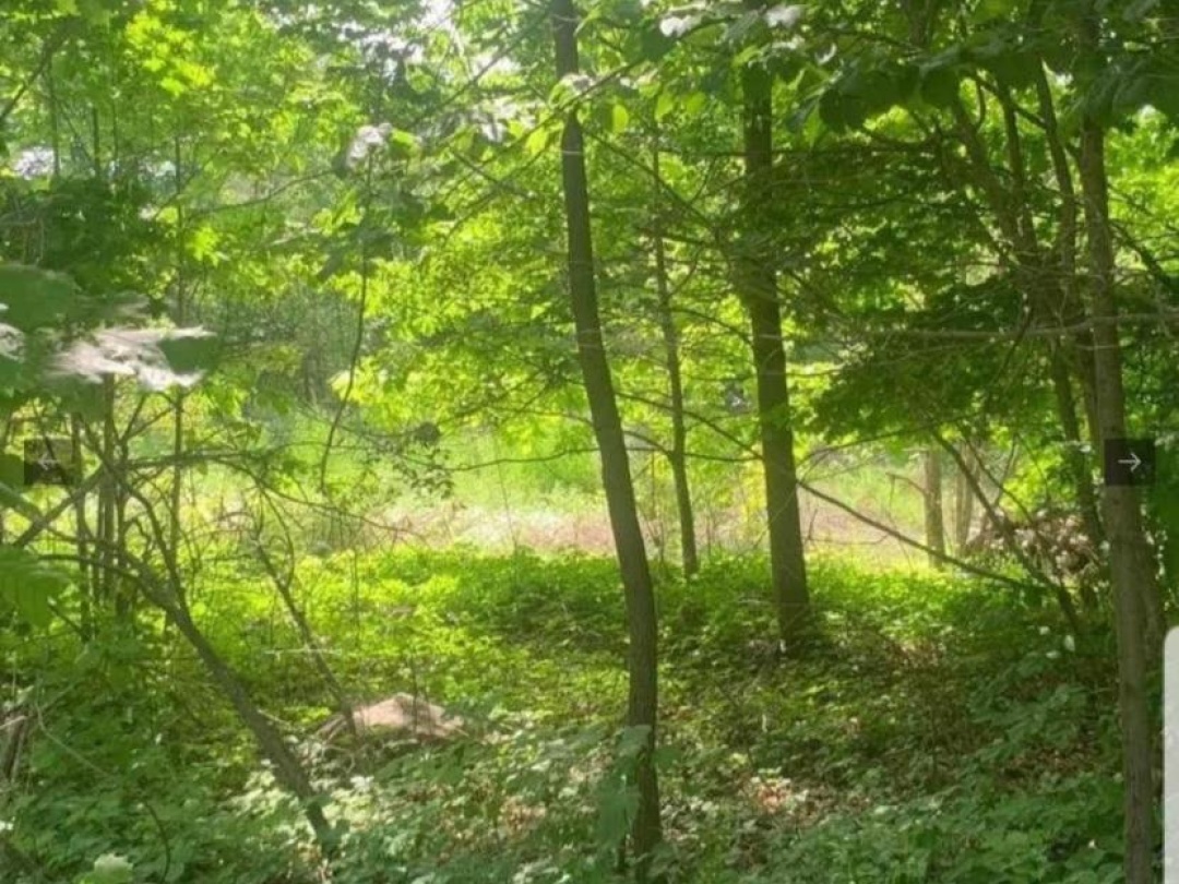LOT 12 SUTER DRIVE, Kawartha Lakes (Laxton/Digby/Longford)