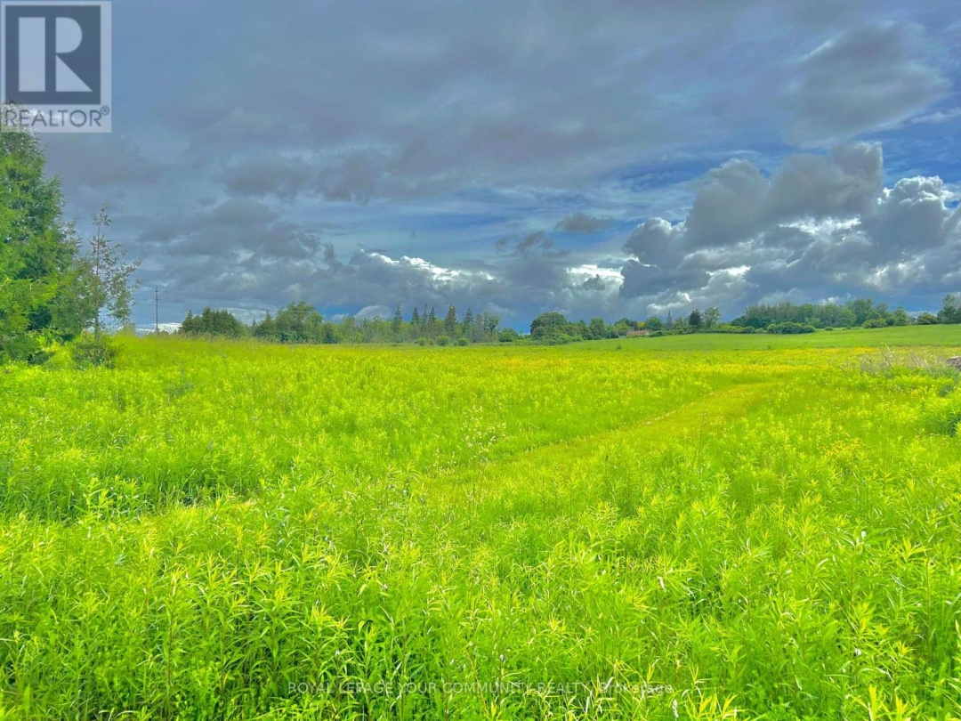 2236 COUNTY 36 ROAD, Kawartha Lakes (Verulam)