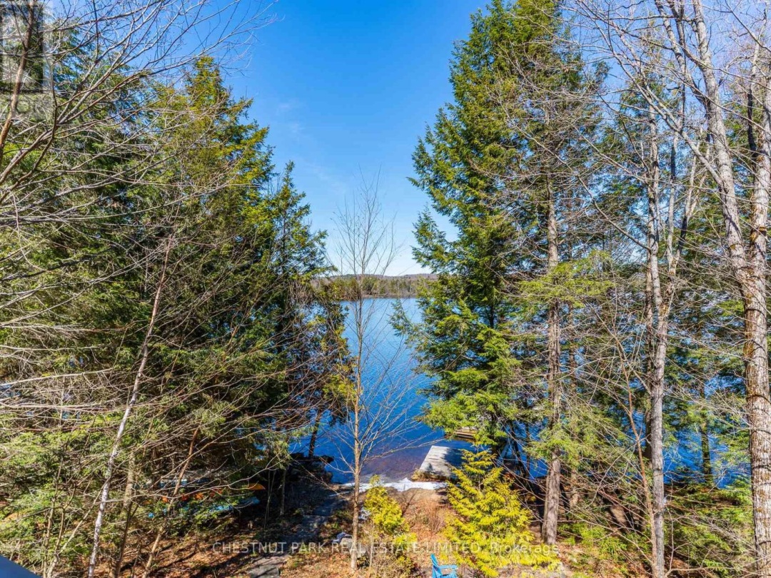 1018 RATTLESNAKE ROAD, Redstone Lake