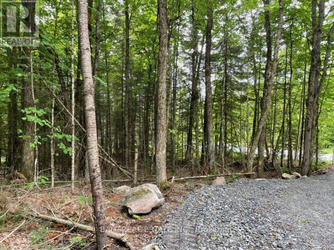 1350 HALIBURTON LAKE RD, Dysart et al (Dysart)