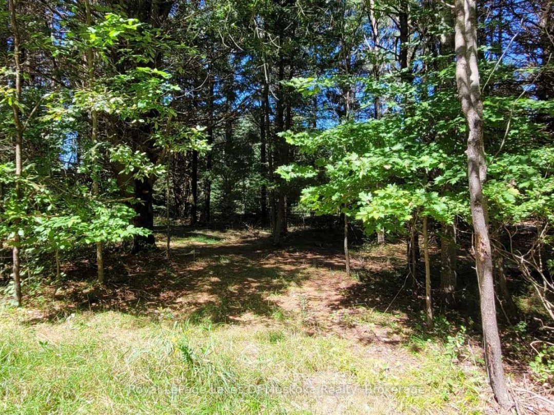 1059 ABLETT COURT, Algonquin Highlands (Stanhope)