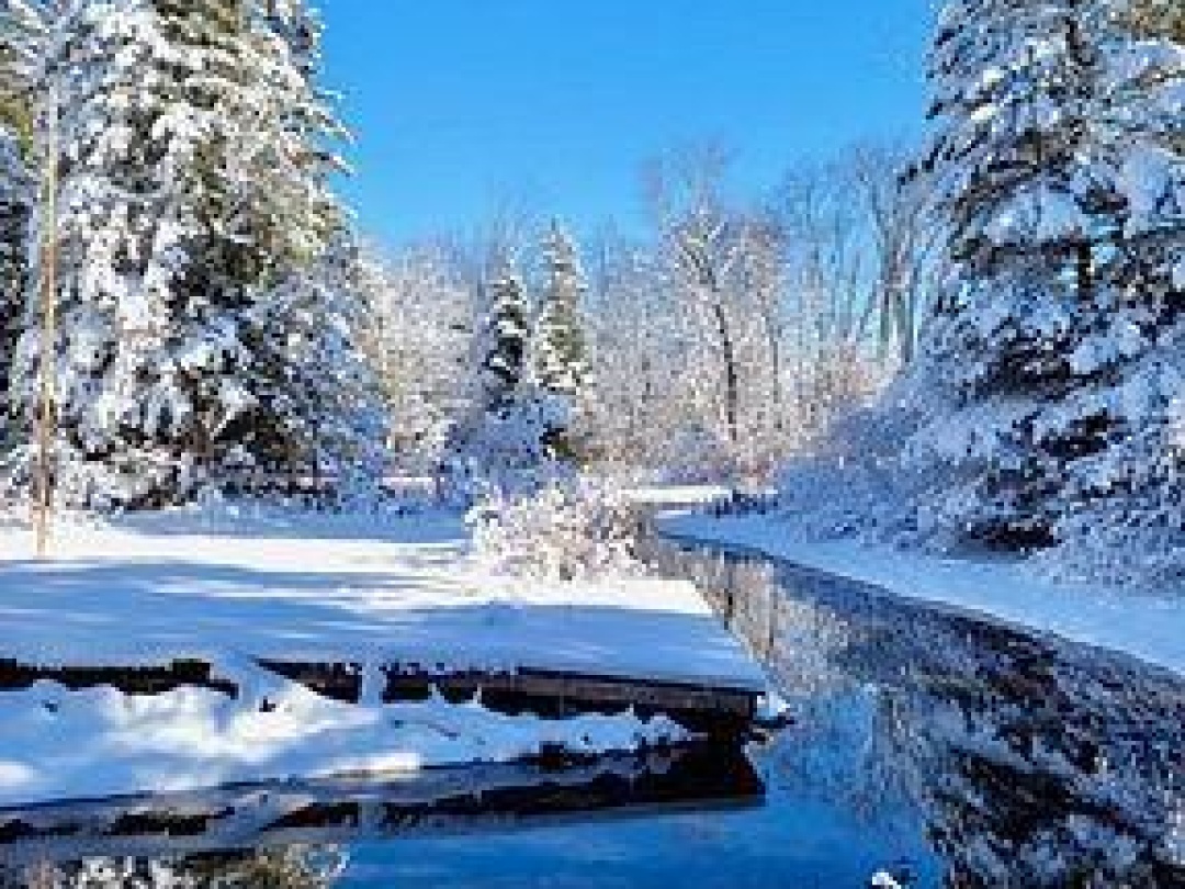 81 MCGUIRE BEACH ROAD, Trent-Severn Waterway