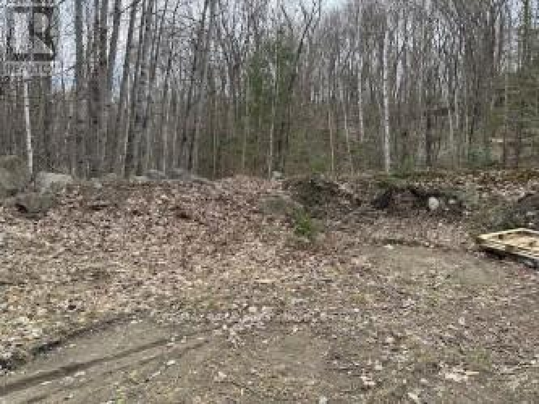 LOT SILVERWOOD ROAD, Minden Hills (Snowdon)