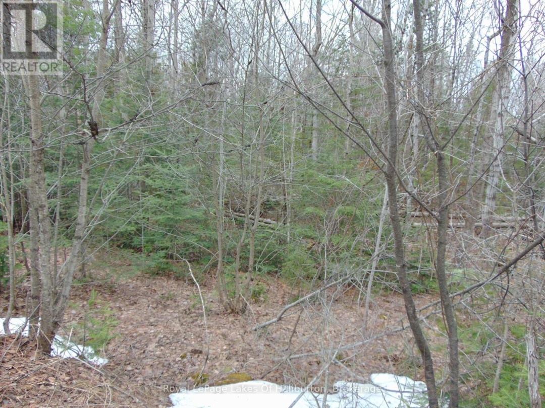 LOT 11 PLAN 580 NORTH DRIVE, Dysart et al (Guilford)