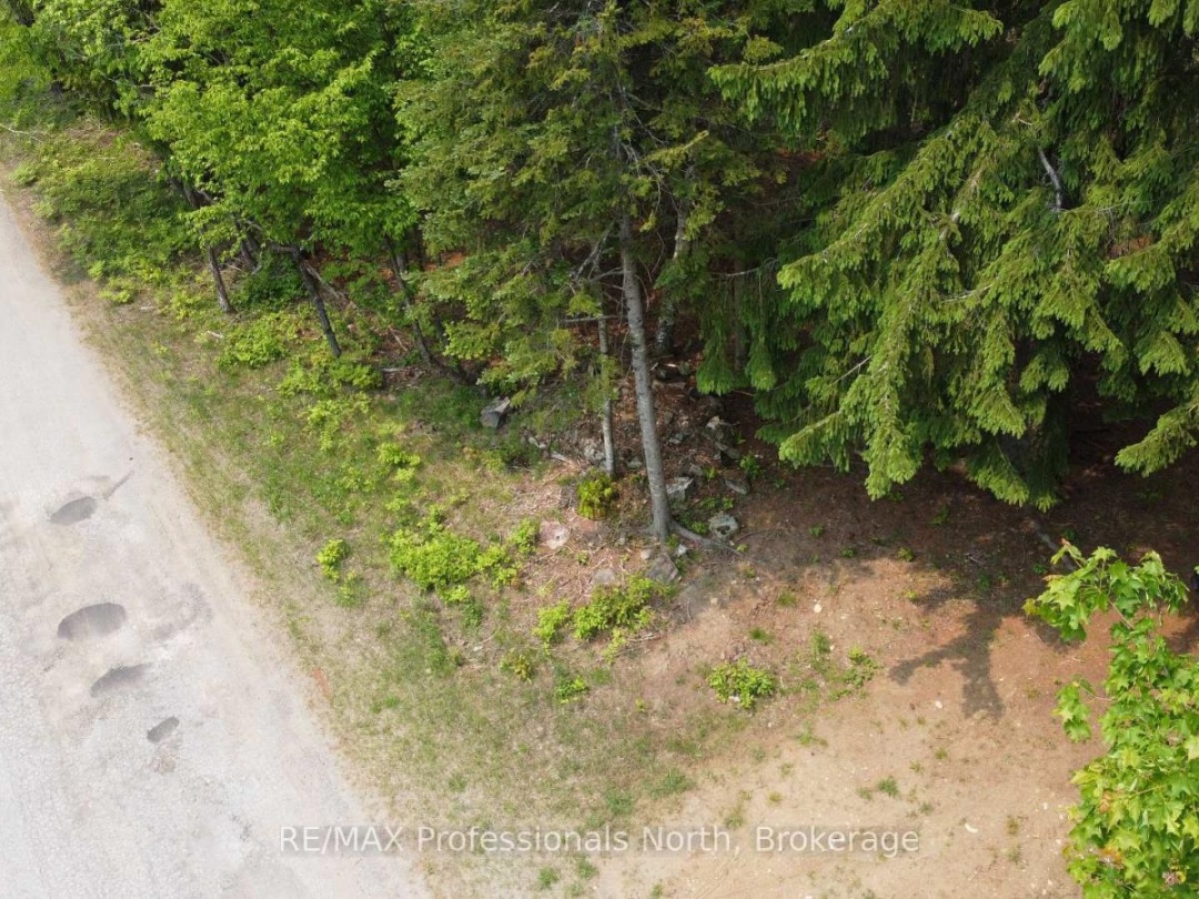 1897 BLAIRHAMPTON ROAD, Minden Hills (Minden)