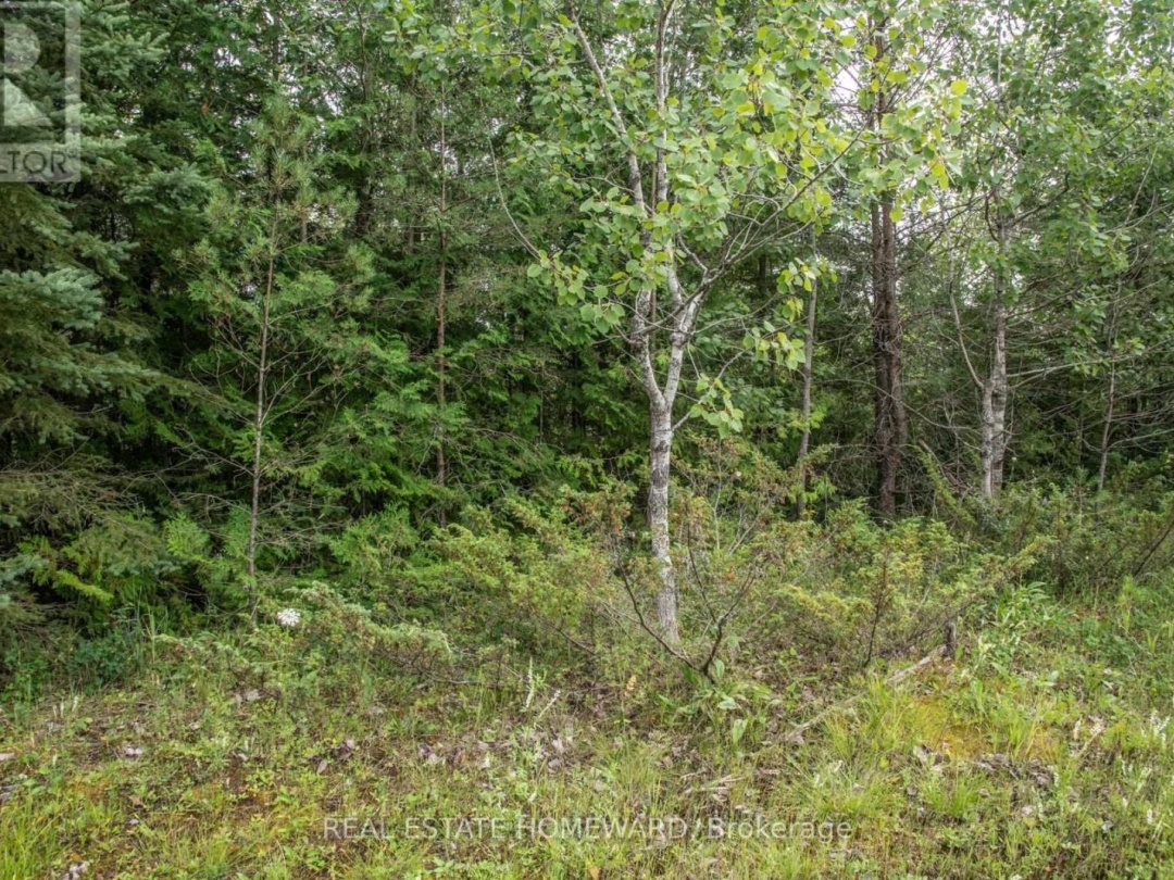 LOT 256 MCGUIRE BEACH ROAD, Canal Lake