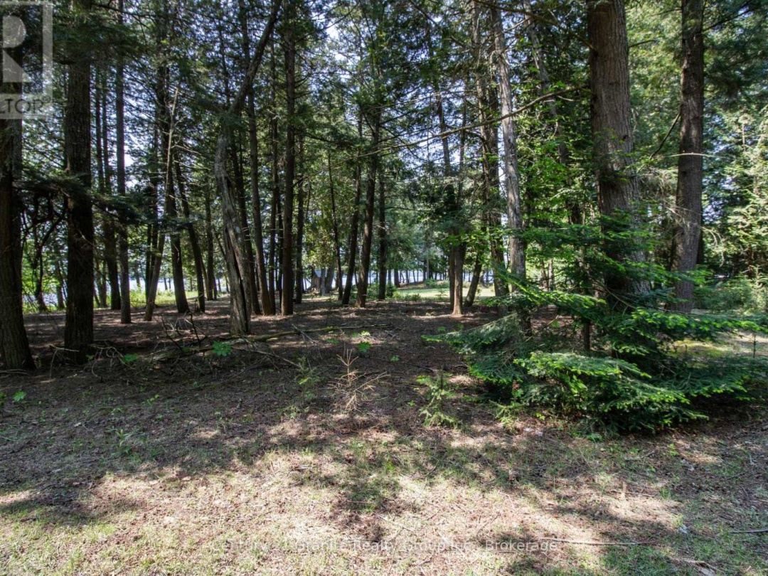 0 SOYERS LAKE ROAD, Soyers Lake