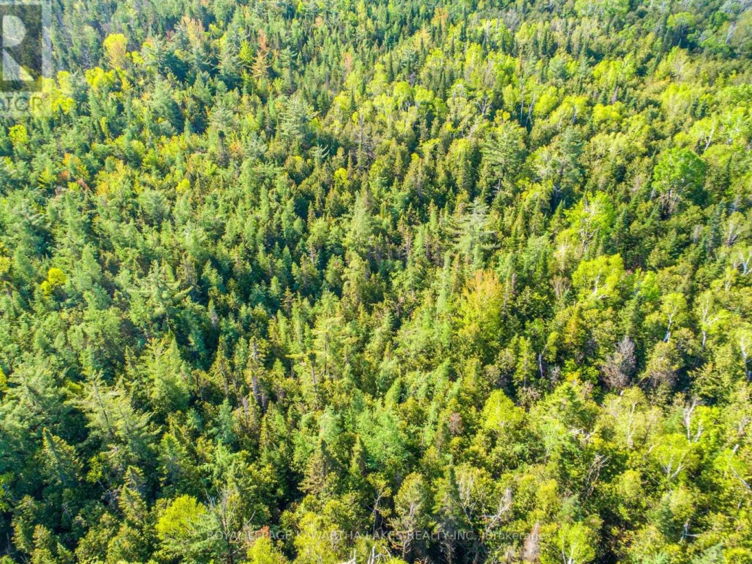 LOT 3 BLACK SCHOOL ROAD, Kawartha Lakes (Mariposa)