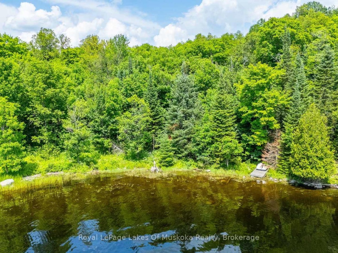 1236 GRACE ROAD, 