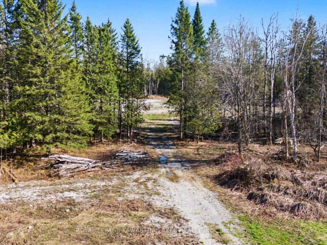 6369 HIGHWAY 35, Kawartha Lakes (Somerville)