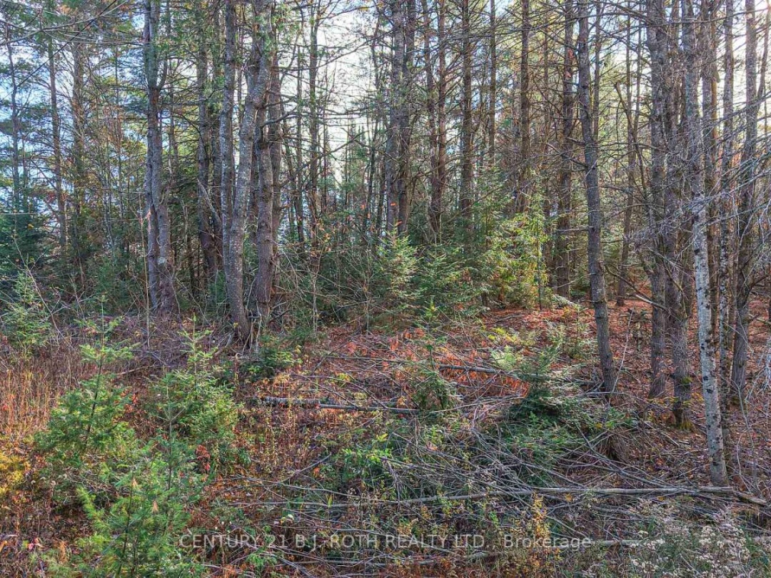 1036 HOPKINS ROAD, Gravenhurst (Ryde)