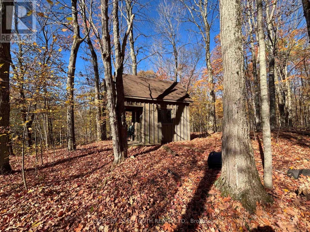 1007 MOUNT STEPHEN ROAD NE, North River