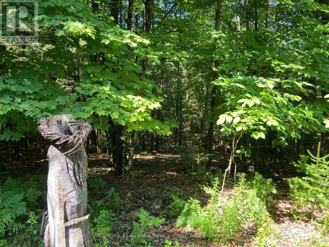 1931 DUCK LAKE ROAD, 