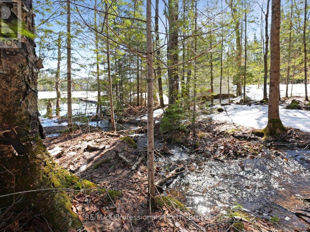 3382 KUSHOG LAKE ROAD, Kushog Lake