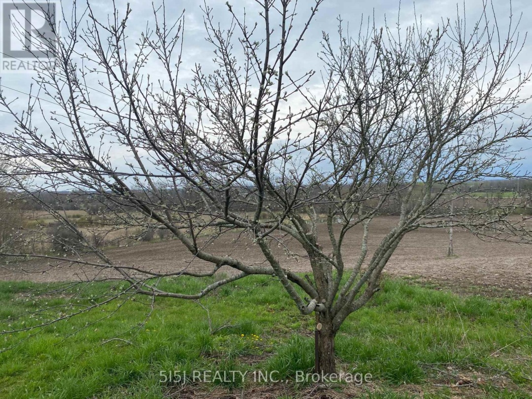 191 LONG BEACH ROAD, 