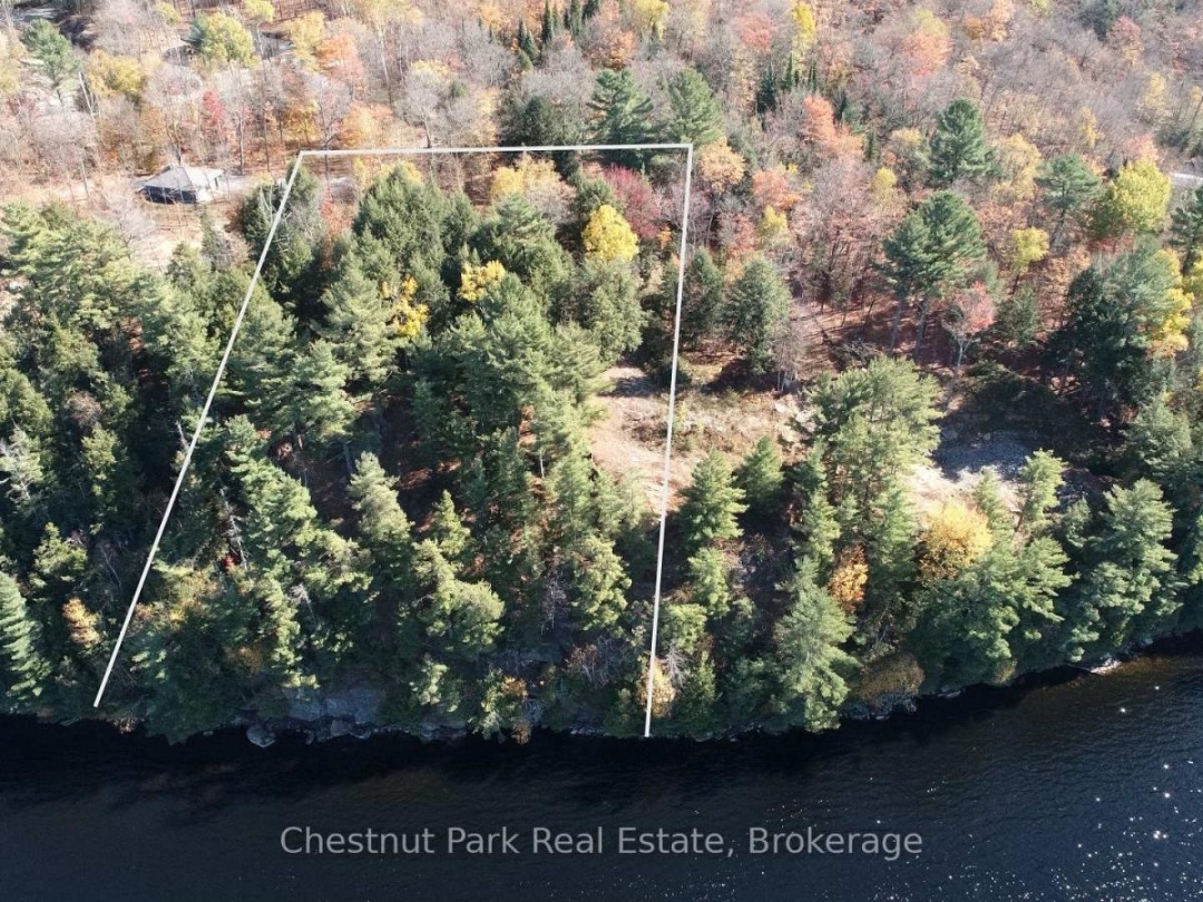 536 SPRINGFIELD ROAD, Fairy Lake