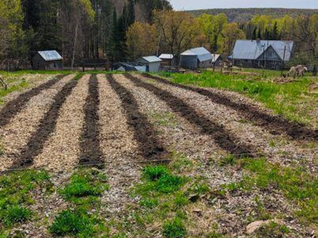 2481 NORTH SHORE ROAD, Algonquin Highlands (Stanhope)