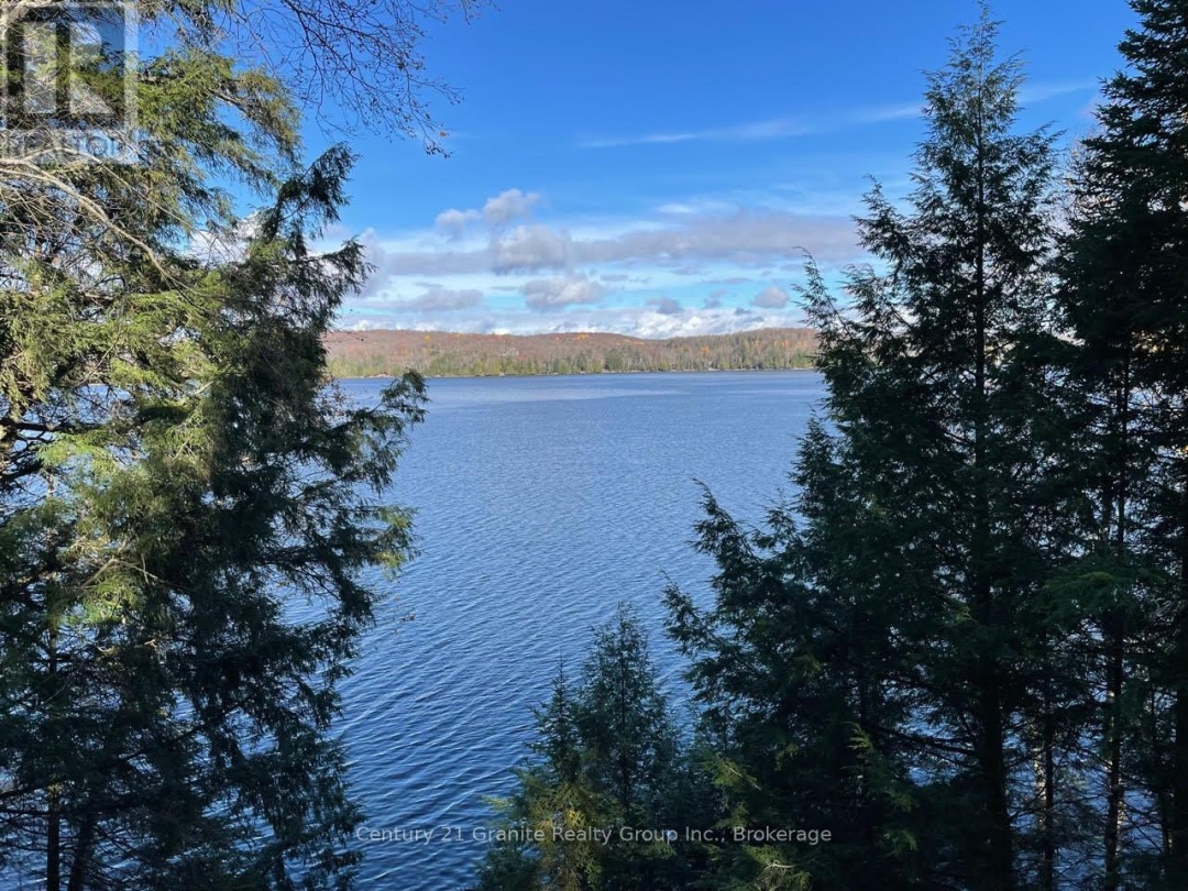 1038 BROKEN PADDLE ROAD, Miskwabi Lake
