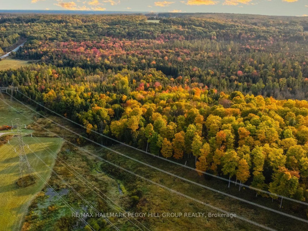 LT23&24 CON 8, Oro-Medonte