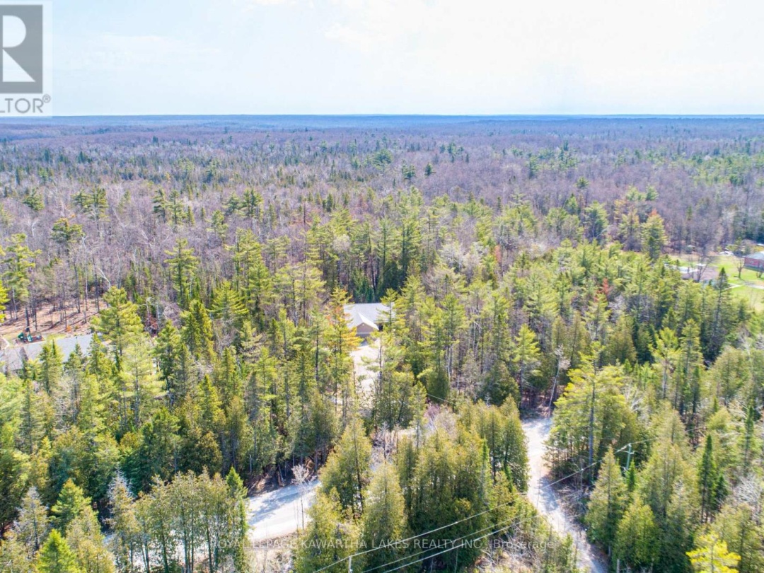 914 COUNTY RD 49, Trent Lakes