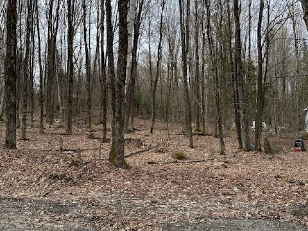 0 PROVIDENCE DRIVE, Maple Lake