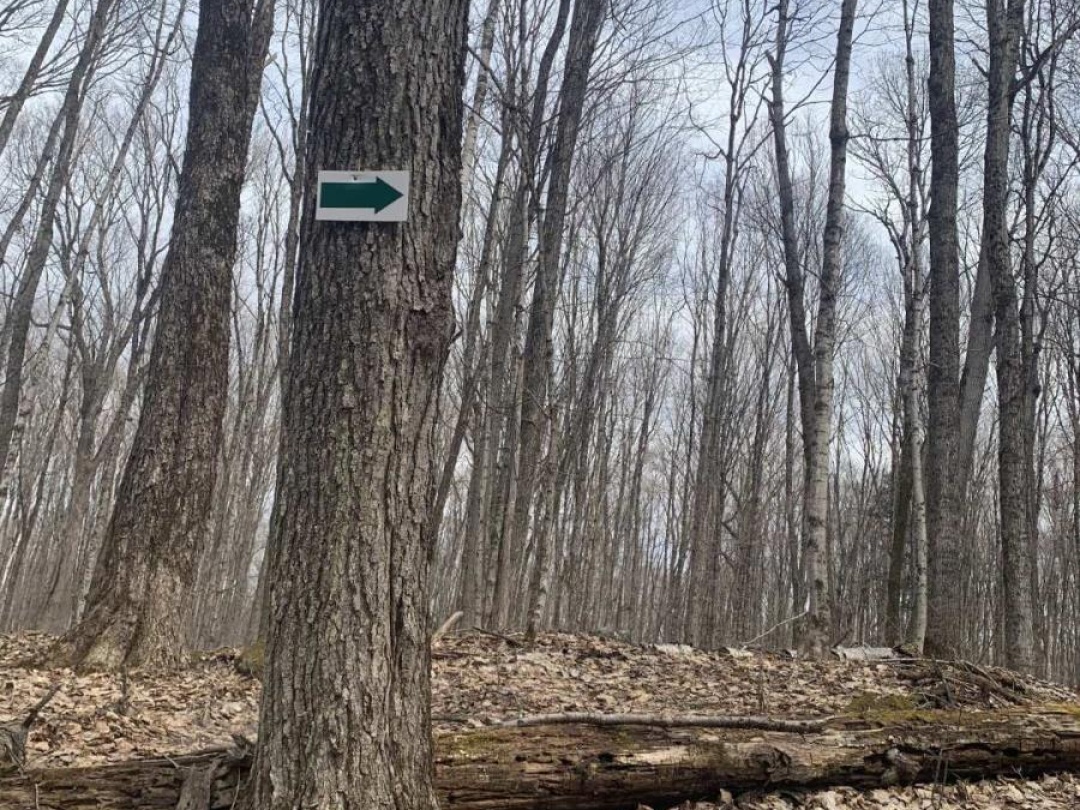 0 KASHAGAWIGAMOG LAKE ROAD, Dysart et al (Dysart)