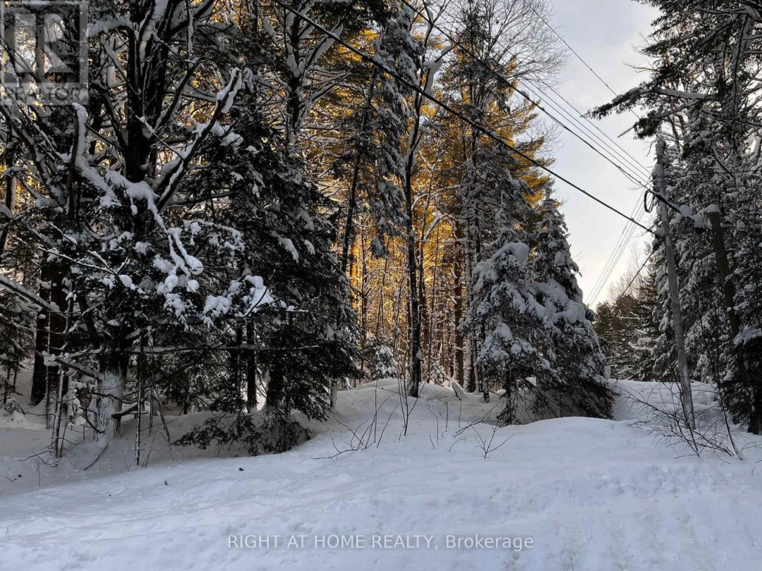 1019 FORRESTER TRAIL, Muskoka River