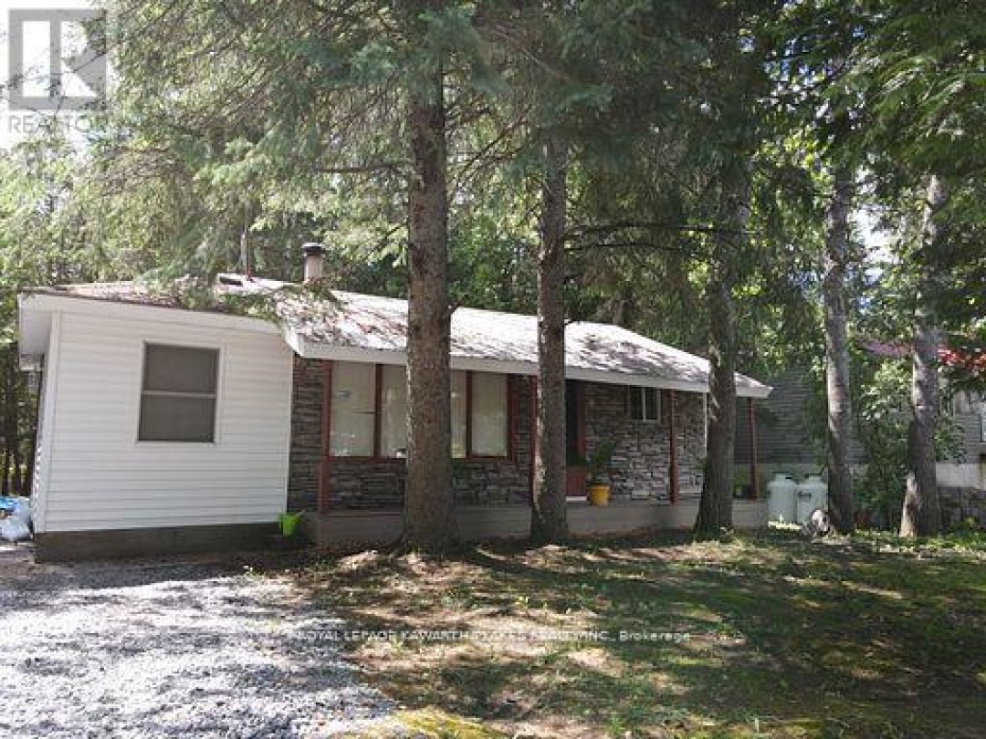 81 MCGUIRE BEACH ROAD, Trent-Severn Waterway