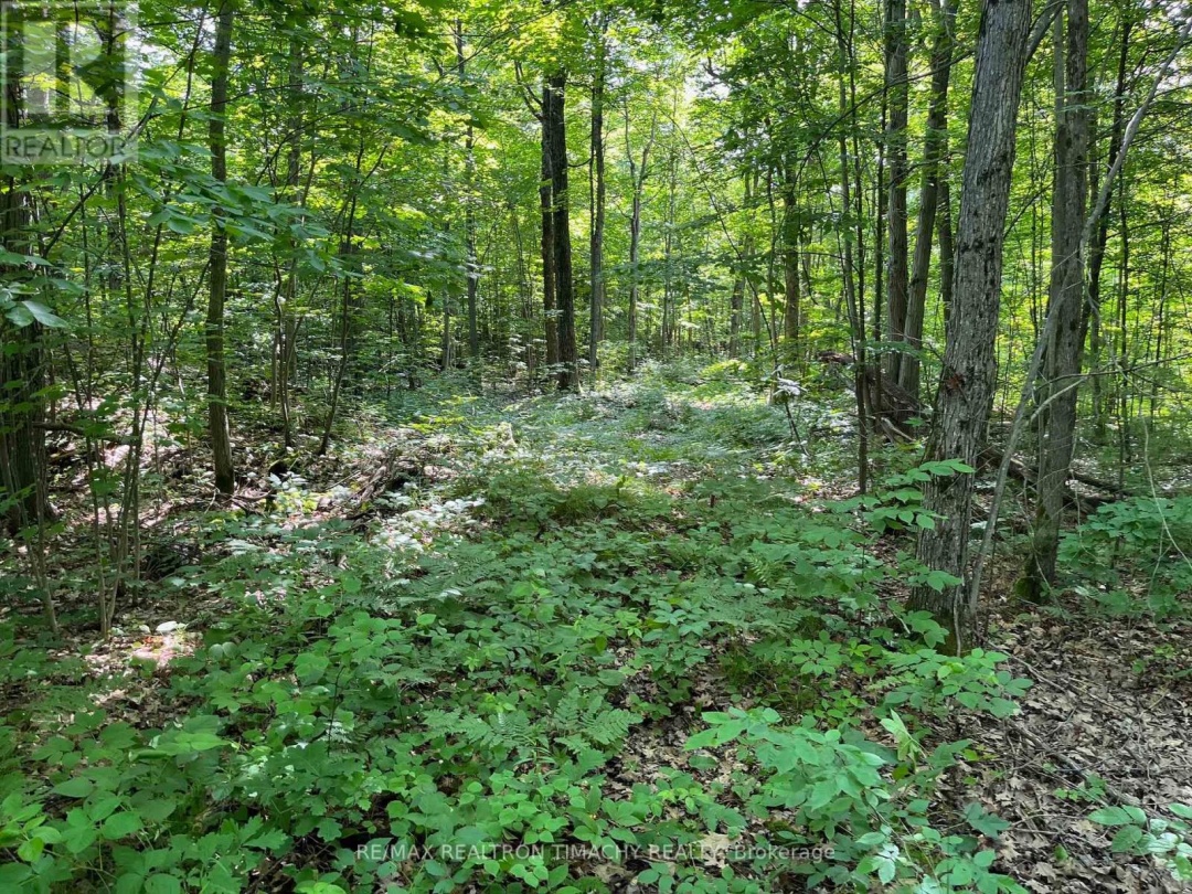 243 PRISQUE ROAD, Georgian Bay