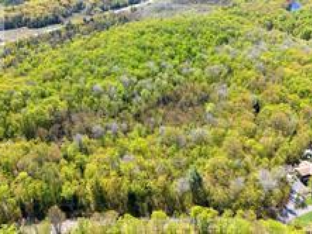 1835B LORIMER LAKE ROAD N, Whitestone (Hagerman)