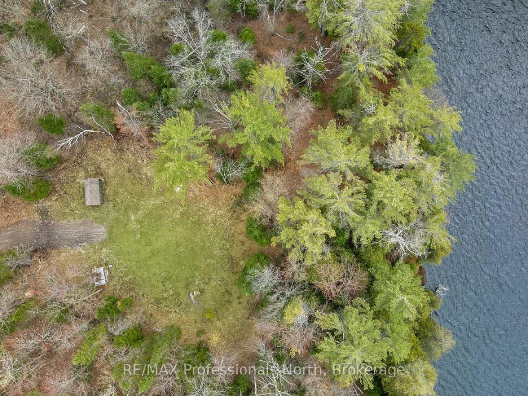 2999 HARBURN ROAD, Boyne Lake