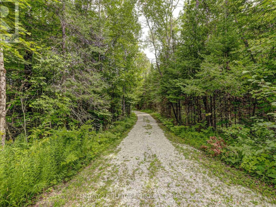 4411 UPPER BIG CHUTE ROAD, 