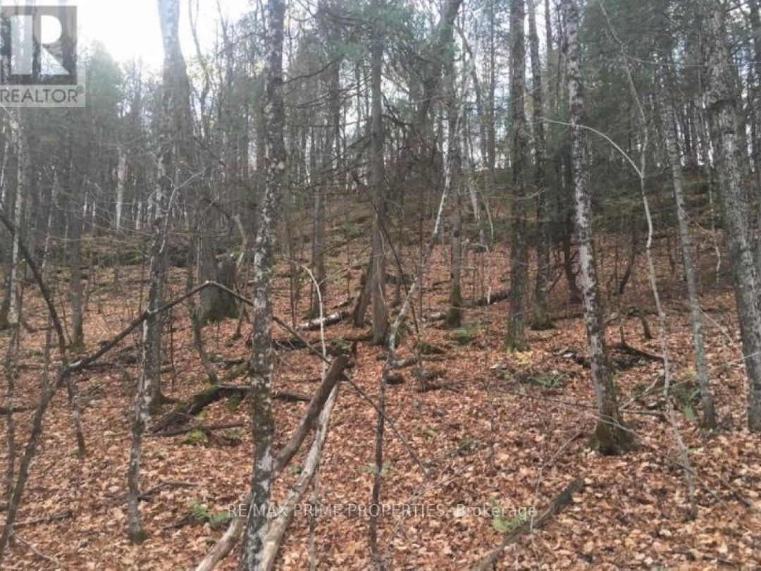 0 BURNT RIVER ROAD, Kawartha Lakes (Somerville)