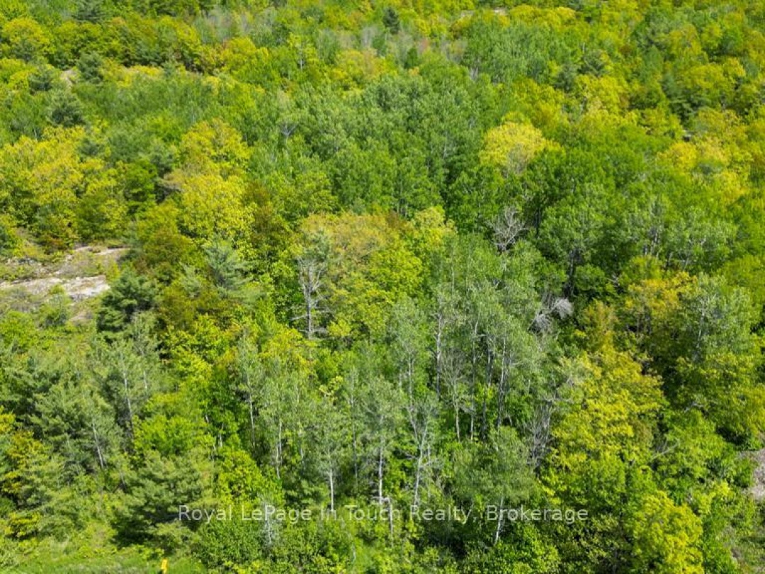 408 SOUTH BAY ROAD, Georgian Bay (Baxter)
