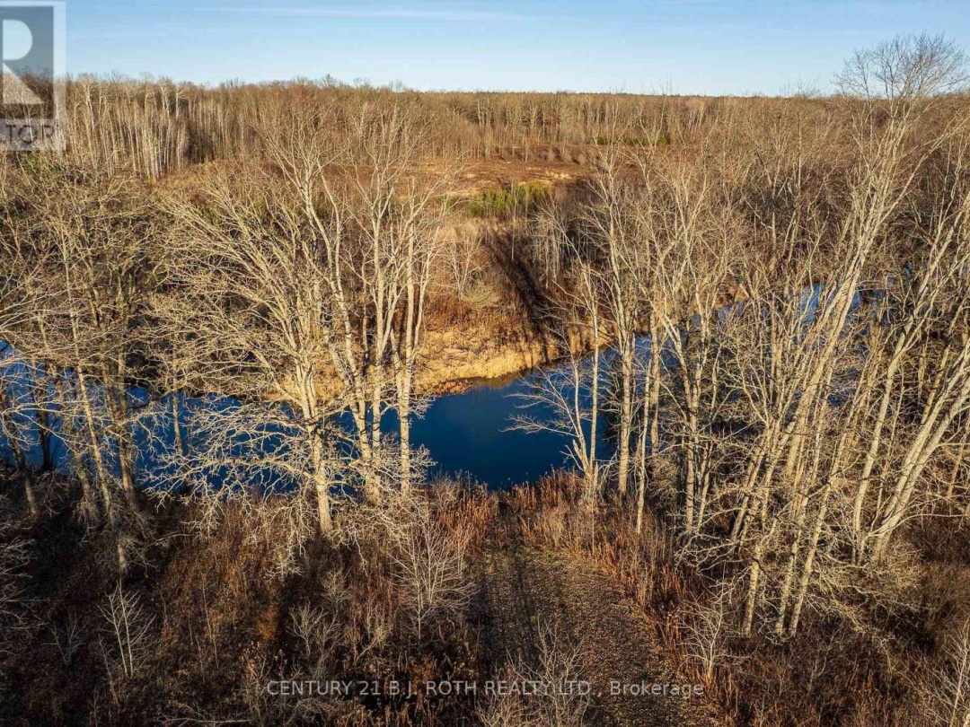 1007 MOUNT STEPHEN ROAD NE, North River