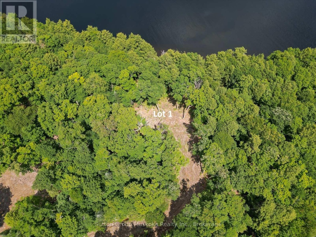 LOT 1 ESIG LANE, Rebecca Lake