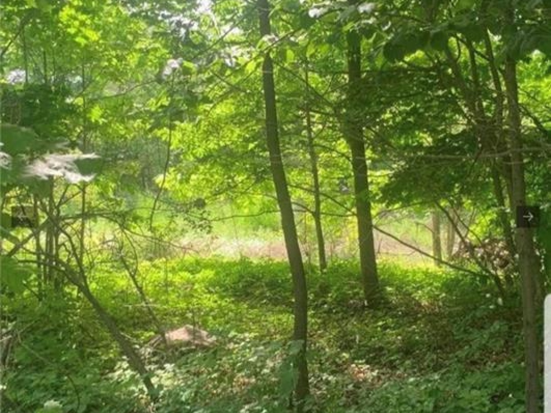 LOT 12 SUTER Drive, Kawartha Lakes