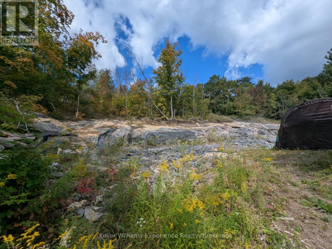 1681 MUSKOKA BEACH ROAD, 