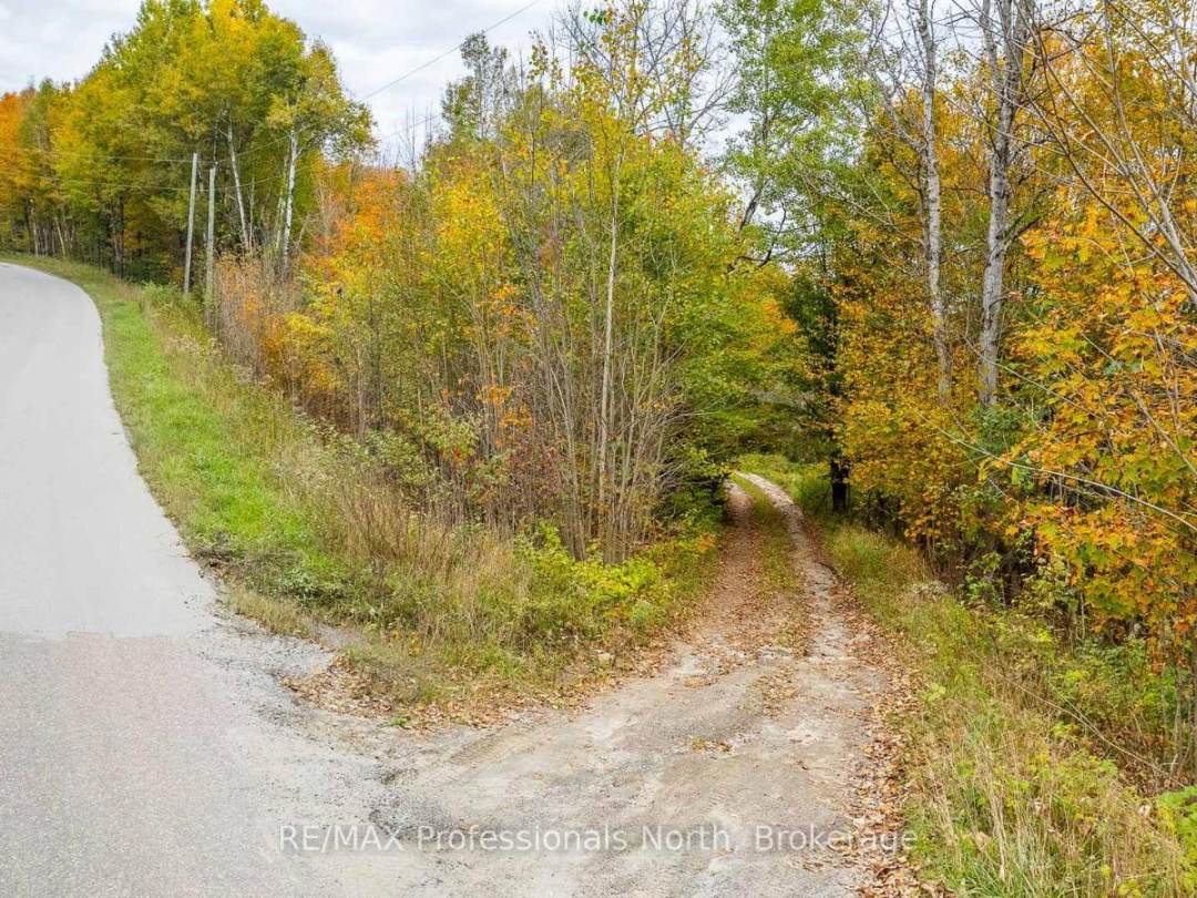 1600 BOBCAYGEON ROAD, Minden Hills (Minden)