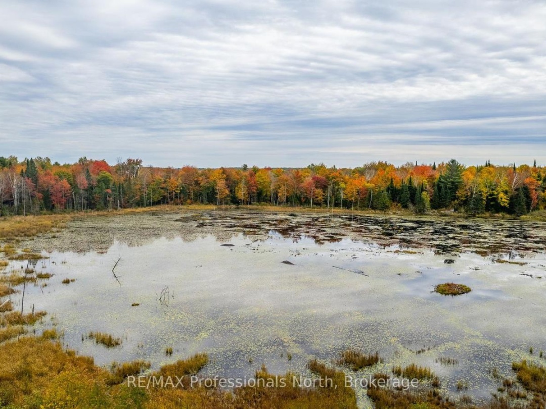 1600 BOBCAYGEON ROAD, Minden Hills (Minden)
