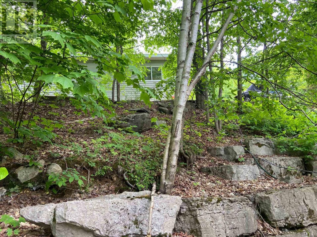 2346 WILKINSON ROAD, 