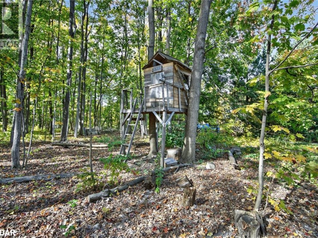 10 CONDER Drive, 