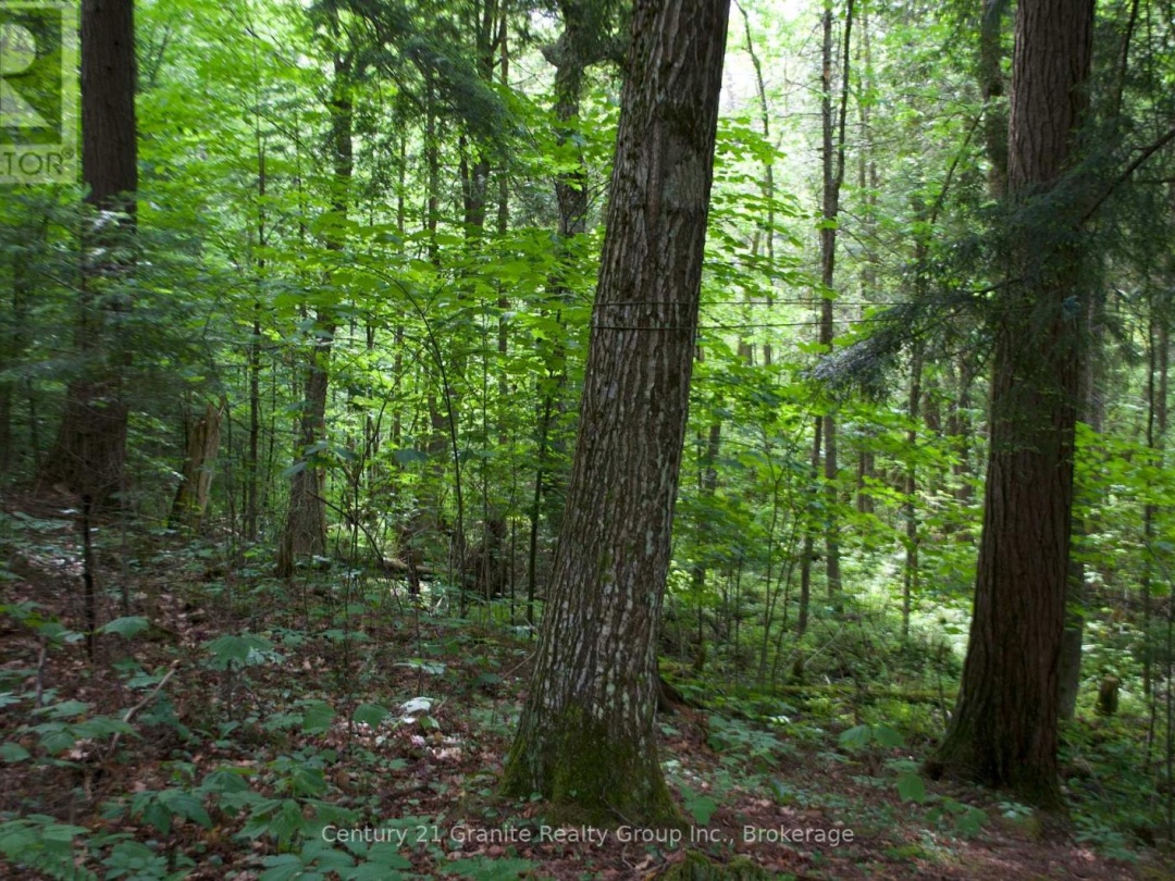 LOT 10 LOON LAKE ROAD S, Loon Lake