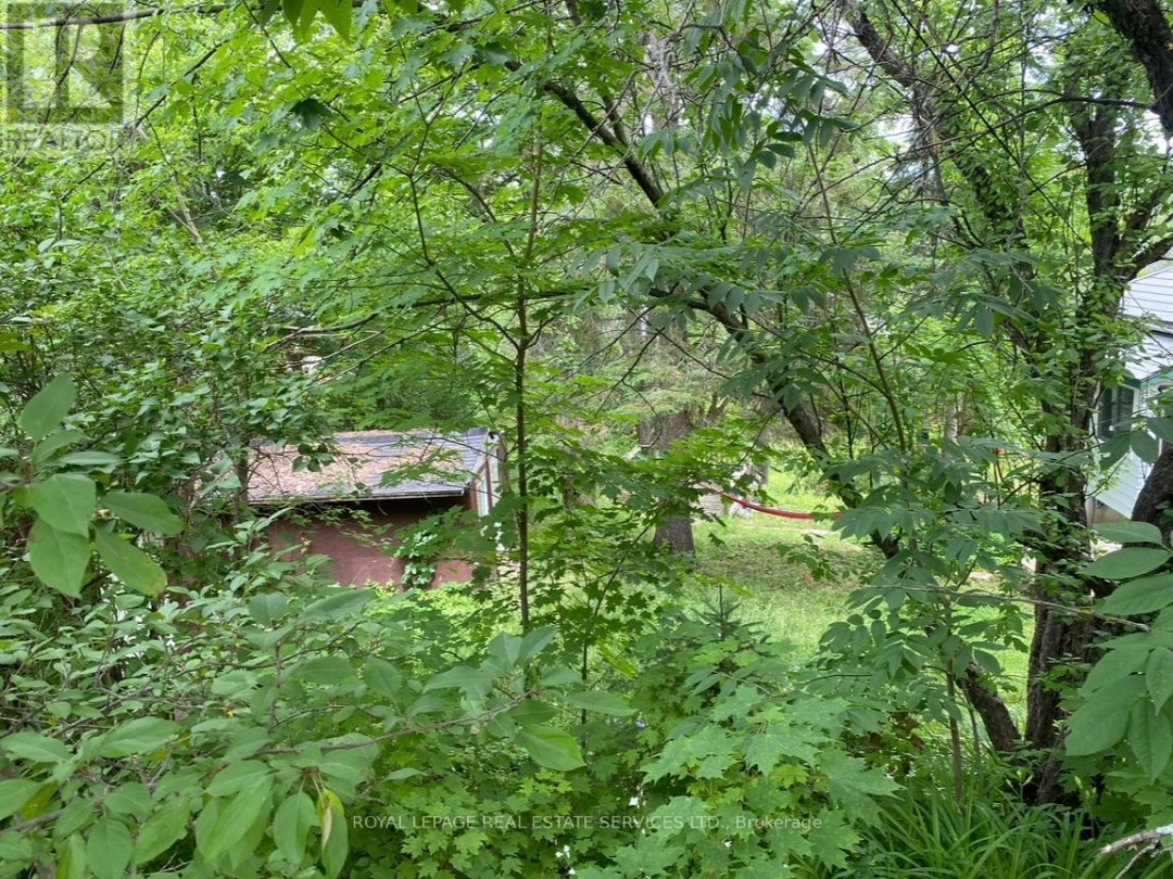 16 CORA STREET E, Huntsville (Chaffey)