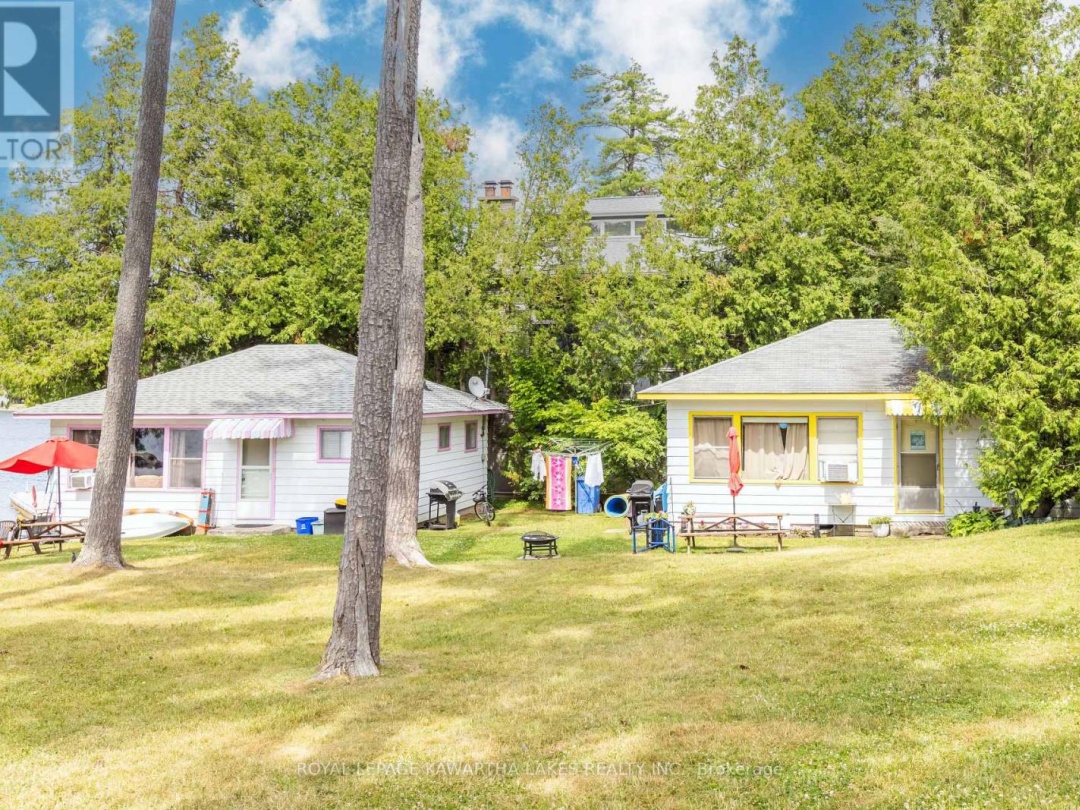 36 GOODMAN ROAD, 