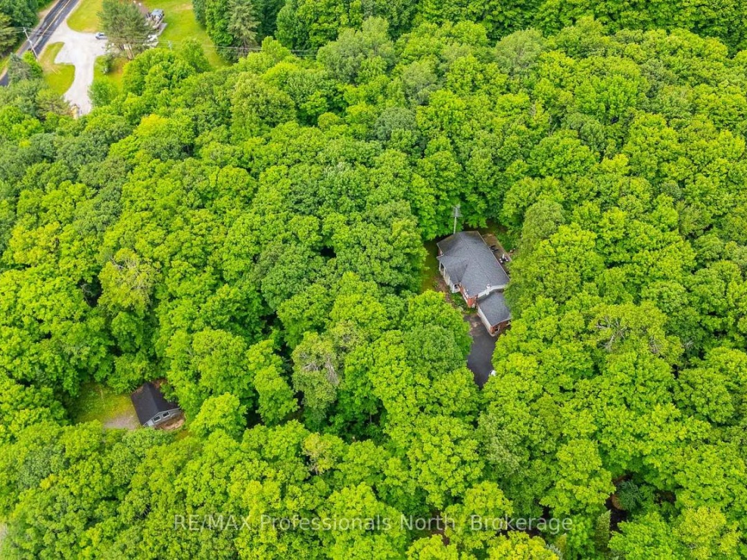 1277 HORSESHOE LAKE ROAD, 