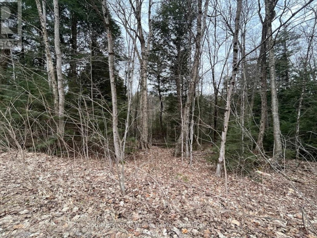 1031 HAVEN ROAD, Bracebridge (Draper)